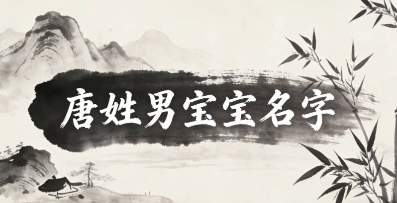 大氣有格局的唐姓男寶寶名字